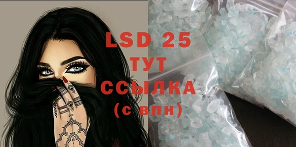крисы Тайга