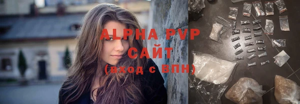 крисы Тайга