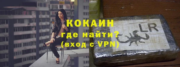 крисы Тайга