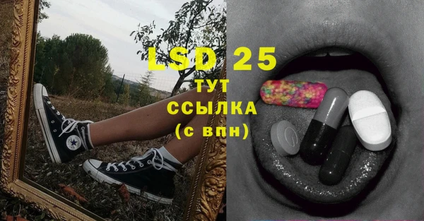 крисы Тайга