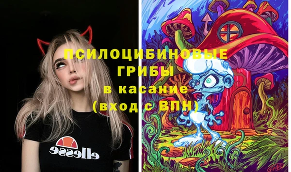 крисы Тайга
