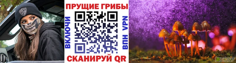 Псилоцибиновые грибы GOLDEN TEACHER  гидра ТОР  Мензелинск 
